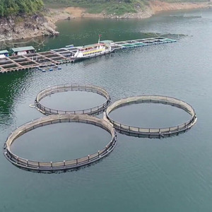 Équipement d'aquaculture personnalisable en PEHD pour fermes piscicoles, livraison rapide, sécurisé, diamètre 15-20M, fabriqué au Vietnam - Product Image 6