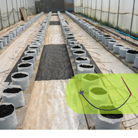 Goutteur en ligne auto-compensant en polypropylène AXIOS 2 L/h pour irrigation goutte à goutte aquaponique et hydroponique, utilisation multi-saison, garantie 5 ans