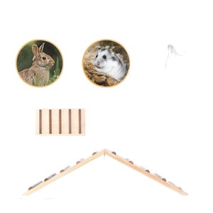 Rampe d'entraînement en bois pour poussins avec bandes antidérapantes pour accessoires de poulailler - Product Image 5