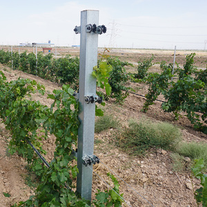 Poste de Acero Galvanizado para Viñedos y Proyectos de Enrejados, Fácil de Montar - Product Image 5