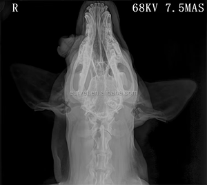 EUR VET taşınabilir kablosuz düz Panel dedektör X ışını makinesi düz Panel dedektör - Product Image 4