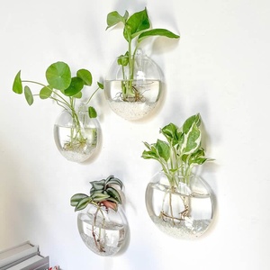 <span class=keywords><strong>Vase</strong></span> mural créatif, <span class=keywords><strong>vase</strong></span> hydroponique mural en verre radis vert, décoration murale simple pour salon, plantes vertes - Product Image 1