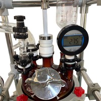 Réacteur en verre antidéflagrant à double enveloppe de 20 L avec protection lumineuse et réservoir sous pression pour la synthèse chimique