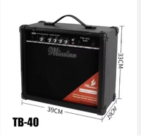 Amplificateur de basse électrique professionnel TB-40, contrôle des fréquences aiguisées, puissance 40 watts, 2 canaux