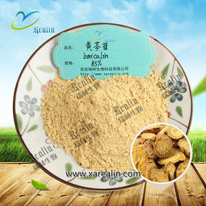 สารสกัดจากสมุนไพรผง98% 85% Scutellaria Baicalensis สารสกัดจาก <span class=keywords><strong>baicalin</strong></span> - Product Image 3