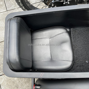 <span class=keywords><strong>Remorque</strong></span> de vélo sidecar de moto électrique de mode de chaîne avec 3 roues - Product Image 4