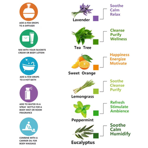 Aceites esenciales puros <span class=keywords><strong>Aceite</strong></span> de aromaterapia natural para difusor <span class=keywords><strong>Humidificador</strong></span> Masaje Cuidado DE LA PIEL Limón <span class=keywords><strong>Eucalipto</strong></span> Clavo Cedro Más - Product Image 6