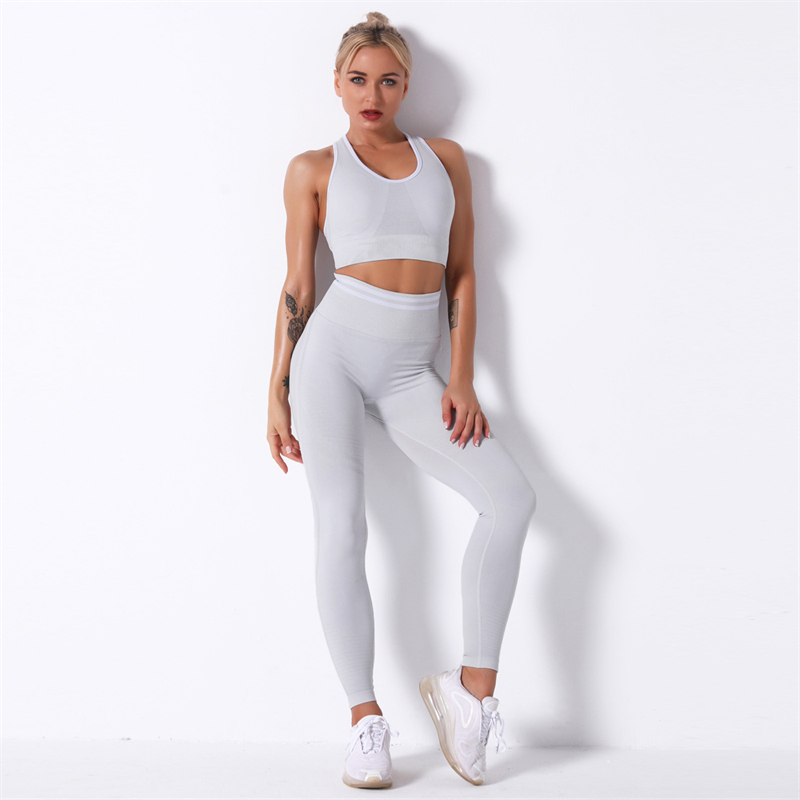 Fashion Modern Breathable Workout Clothing Women Active Wear  Yoga Pants  BRA  5 colors
