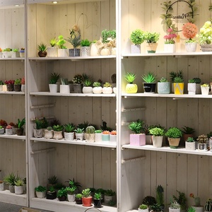 Plantes succulentes artificielles modernes <span class=keywords><strong>en</strong></span> plastique vert, cactus figue de Barbarie, mini plantes artificielles <span class=keywords><strong>en</strong></span> <span class=keywords><strong>pot</strong></span> avec <span class=keywords><strong>pot</strong></span> <span class=keywords><strong>en</strong></span> céramique - Product Image 5