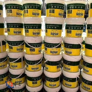 Rivestimento impermeabile trasparente per tegole tetto cemento impermeabilizzazione invisibile - Product Image 3