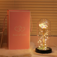 Lampu LED String dengan Kubah Kaca Mawar Berlapis Emas Buatan Tangan, Bunga Abadi dengan Kemasan Kotak Hadiah, Hadiah Romantis untuk Hari Valentine