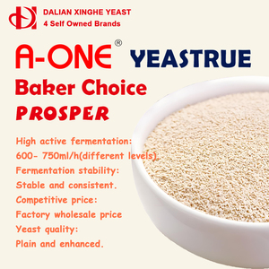 <span class=keywords><strong>Levadura</strong></span> Instantánea Activa en Polvo para Hornear Pan, envasada al Vacío, 5g 10g 11g 12g 20g 125g 450g 500g para Panadería, Fermentación Rápida - Product Image 3