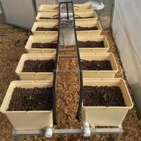 Système hydroponique en seau hollandais avec coudes de siphon, pot de culture hors-sol à recirculation pour la plantation de légumes et de fruits en serre