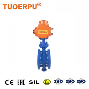 Joint d'étanchéité rigide de précision Tuoerpu, résistant à la chaleur, pour l'industrie pétrochimique, PN16/150lb DN50-600, pour l'industrie pétrolière et gazière - Product Image 2