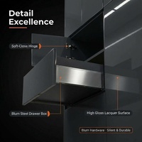 Meuble de cuisine moderne australien noir mat sans poignée, panneau plat HDF E0, fermeture douce, LED, OEM ODM