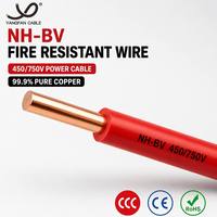 Kabel Listrik Tahan Api NH BV 450 750V Tembaga Padat Berisolasi PVC Tahan Nyala Api untuk Bangunan