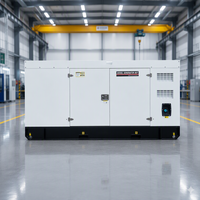 Groupe électrogène diesel silencieux 375 kVA 300 kW personnalisable OEM, triphasé AC 50 Hz/60 Hz, équipement de production d'énergie de puissance première pour usine