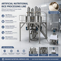 Machine de fabrication de riz fortifié, ligne de production de riz artificiel avec technologie d'extrusion pour le traitement des céréales