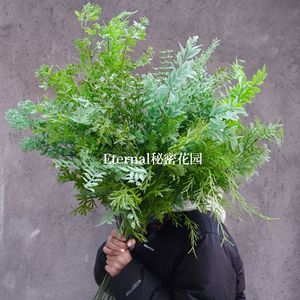 Plante artificielle d'asperge Secret Garden, 90 cm de long, feuilles en plastique, branche décorative pour mariage - Product Image 2
