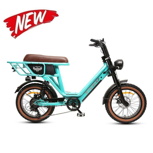 New Arrival 20 Inch <b>Frame</b> Suspension Hydraulic Disc Brakes Brushless 48V 15Ah Lithium Battery MotorcycleStyle <b>Ebike</b> Patented - Product Image 4