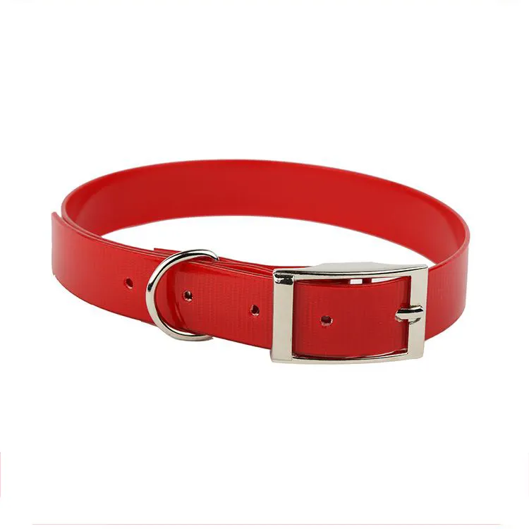 Top sale good quality bright color waterproof adjustable dog collar