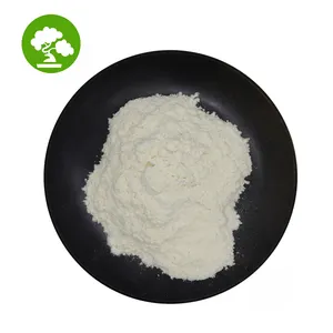 High Quality Better Price Boswellia Serrata Extract Powder