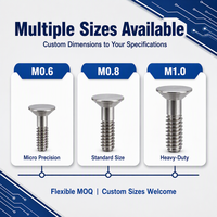 Vis de précision micro non standard JinLi LS005, boulons en T M0.6 M3.0, pour électronique, moteurs, roulements, quincaillerie, taille personnalisée, finition sur mesure