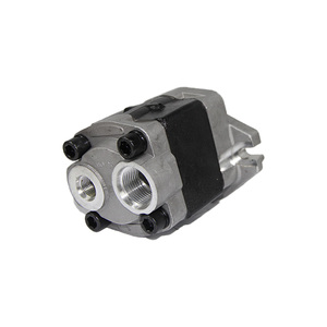 bibo LF Brand Speed 1500 Gear <b>Pump</b> <b>Small</b> Hydraulic <b>Pump</b> with 20Mpa 0.5 1 Year Warranty for 16 Ton - Product Image 5