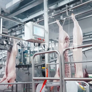 Attrezzatura Premium in Acciaio Inossidabile per la Macellazione Industriale di Suini per Impianti di Lavorazione del Suino - Product Image 1