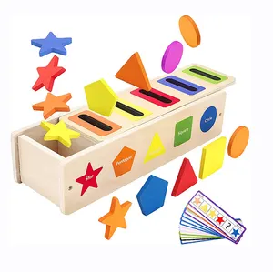 Suppliers customized Preschool Game wooden Montessori materials Sorting box Toy Montessori learning matching Box