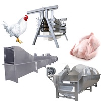 Équipement d'abattoir pour petits poulets, oies et lapins en Indonésie, 100-300 BPH / Machine d'abattage de volailles à vendre