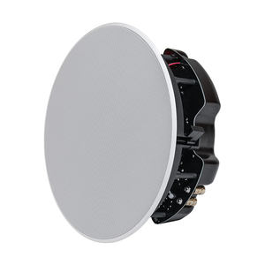 DSP8050 аэропорт 8 дюймов 8 Ом 50 Вт потолочные колонки - Product Image 3