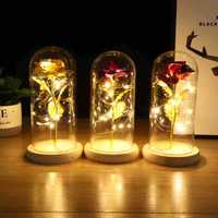 Rose sous cloche en verre avec lumières LED, cadeau pour maman, femme, petite amie, fleurs et plantes immortelles