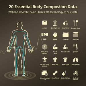 Balance connectée intelligente pour le corps, avec 8 électrodes en verre, fonction professionnelle, poids et <span class=keywords><strong>composition</strong></span> corporelle, max 180 kg, balance intelligente pour le corps - Product Image 2