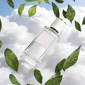 <span class=keywords><strong>Eau</strong></span> de Parfum en Spray Unisex con Aroma Floral, Frutal, Fresco, Cítrico, Amaderado, Ecológico, de Larga Duración, Sin Alcohol, Portátil, para el Cuerpo - Product Image 2