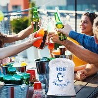 Sac à glace, poche à glace en plastique LDPE, pour refroidissement alimentaire, qualité alimentaire, transparent, anti-fuite