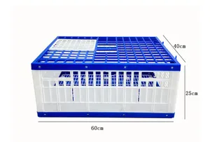 Best Sell De Transport Pour Birds Bird Cage Boxes Pigeon Kit Box