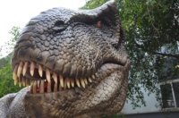 Modèle de dinosaure animatronique T-Rex réaliste de qualité supérieure, prix usine Zigong, robot dinosaure, modèles animatroniques en promotion usine