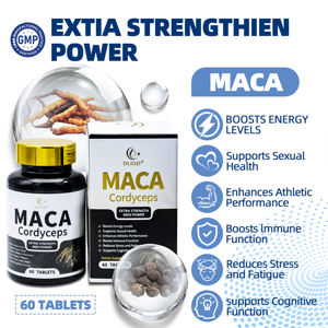 OEM Meilleur Produit Racine de Maca Cordyceps Extrait Comprimés Soutien-Force pour Adultes Suppléments de Santé Corporelle - Product Image 4