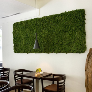 منازل وحدائق-لوحات جدارية, لوحات جدارية خضراء للاستخدام الداخلي مختلفة الاستخدامات بسعر الجملة ، أعشاب الطحالب ، ديكور للمنزل ، حائط من مادة الجريوفيتي - Product Image 1
