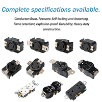 Conector Hembra de Plástico SFE NEMA 20A 125/250V con Bloqueo Giratorio para Enchufe de Extensión Estándar Americano CE