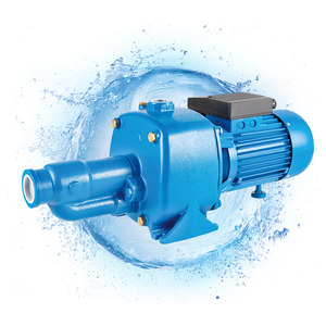 Pompe à eau à jet personnalisée CAB 1HP avec impeller en laiton et arbre en acier inoxydable, moteur 12V haute pression, fabrication OEM Chine - Product Image 3