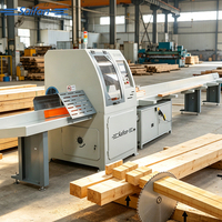 Máquina de Corte Automática Saifan SF6060 con 1 Año de Garantía, Control PLC, Tamaños Personalizados (2m-6m), Cuchilla de 600mm para Trabajos en Madera