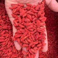 Baies de Goji Rouges Entières Séchées à l'Air de Qualité Supérieure, Biologiques du Ningxia, Sans Conservateurs, 900 Grains, Idéales pour Smoothies et Pâtisseries Saines