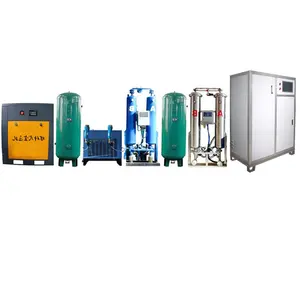 800g Ozone Machinery for Beverage Factory Water Purification Water Safety Ozonator