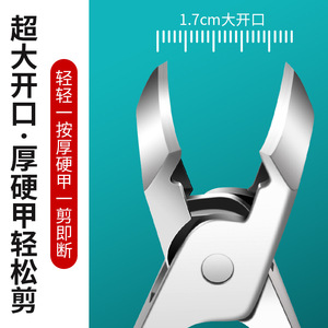 Cortauñas Angulado Grande de 15 mm, Herramienta de Pedicura para Uñas Gruesas y Duras, de Acero Inoxidable - Product Image 1