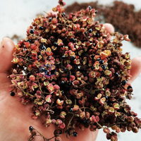 Déshydrateur alimentaire industriel alimenté au gaz équipement de séchage séchoir à bagasse machine de séchage de vers de farine séchoir à granulés