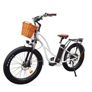 Bicicleta Eléctrica Retro de 2 plazas para playa, bici de 26 pulgadas y 750W con neumático ancho