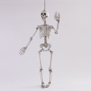 Figuras de Esqueletos de Halloween CT de 40cm, 70cm, 90cm y 165cm, Decoraciones de Plástico Articuladas para Uso en Interiores y Exteriores - Product Image 3