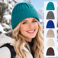 Casquette en tricot côtelé vertical à revers, 100 % acrylique extensible, épaisse, chaude, pour femme, idéale pour les trajets quotidiens, les activités de plein air et les tenues assorties.